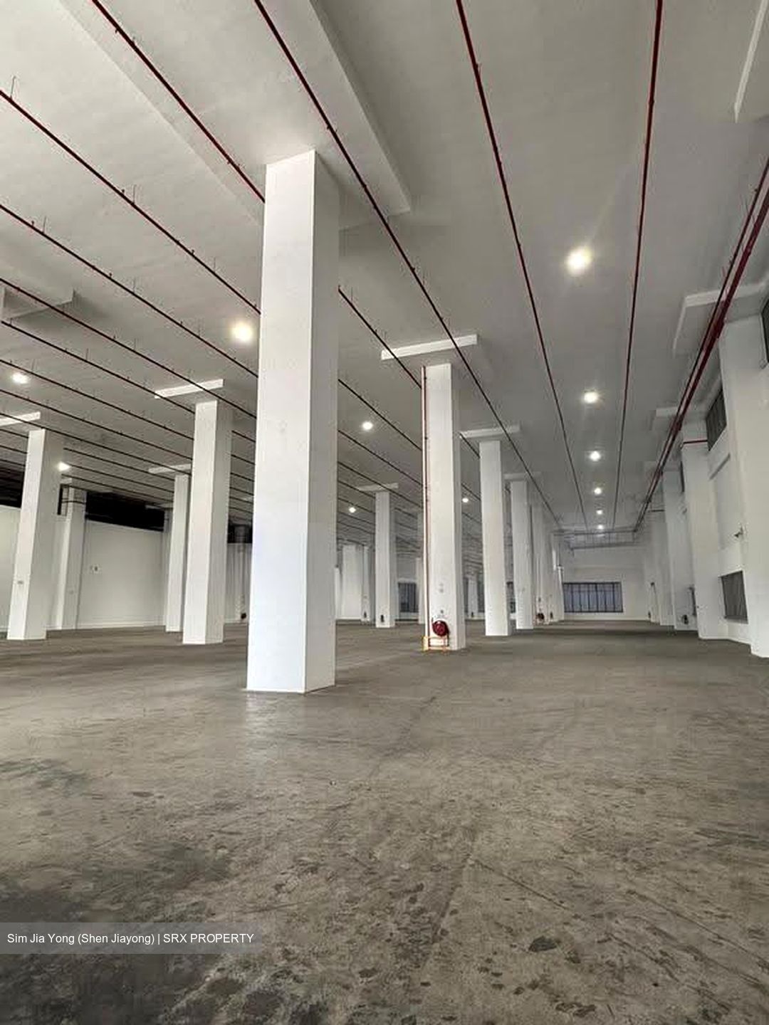 Fong Lee Metal Industrial Building (D22), Warehouse #621552591